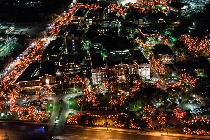 a view of a city next to a christmas tree